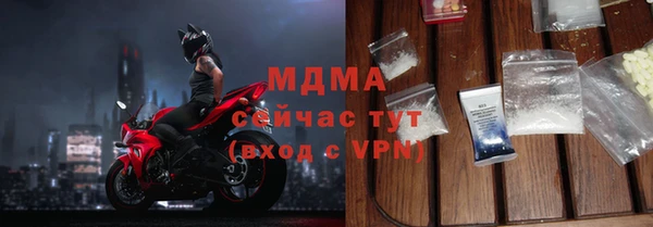стаф Медногорск