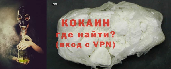 стаф Медногорск