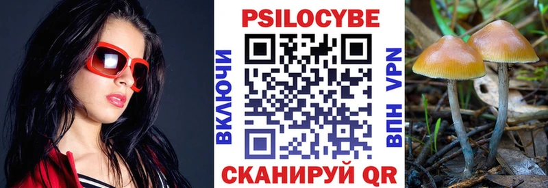 продажа наркотиков  Балтийск  Галлюциногенные грибы прущие грибы 