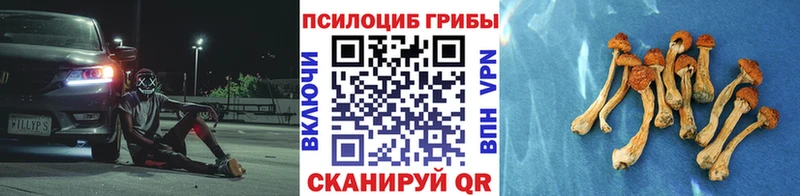 Псилоцибиновые грибы мухоморы Балтийск