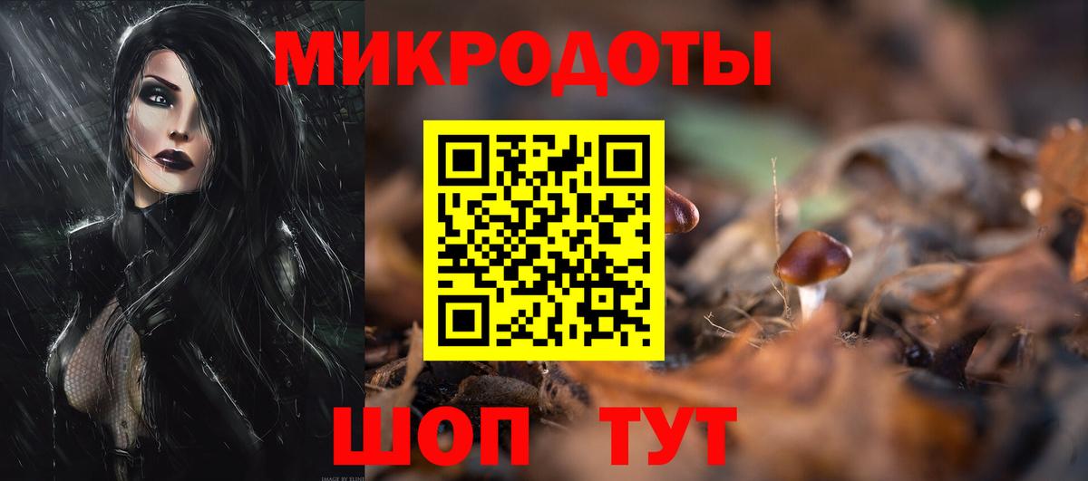 Галлюциногенные грибы Cubensis Балтийск