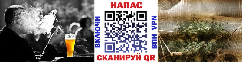 сколько стоит  Балтийск  Шишки марихуана семена 